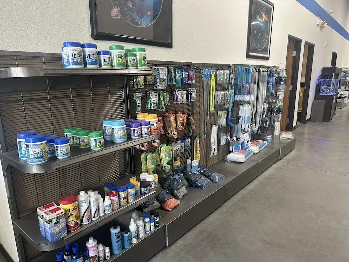 That Big Fish Store Picture 2