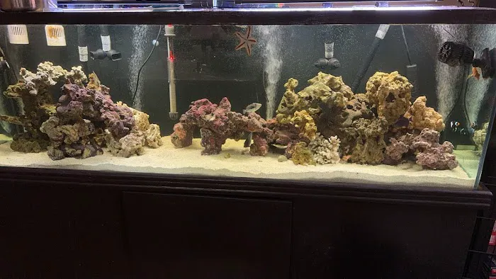 That Big Fish Store Picture 9