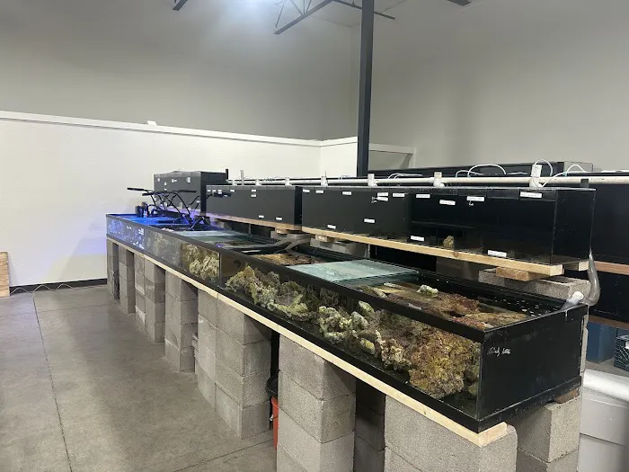 That Big Fish Store Picture 4