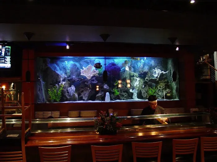 Southwest Seas Picture 8