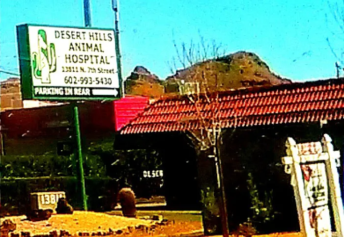 Desert Hills Animal Hospital Picture 8