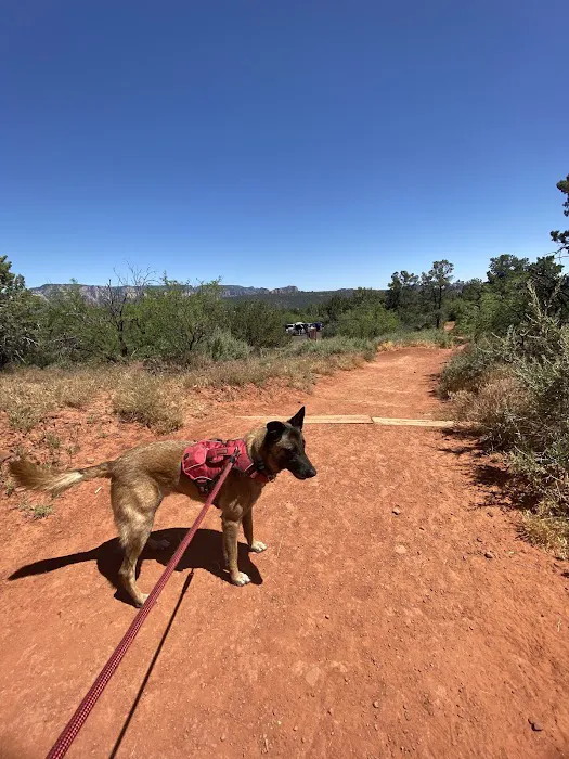 Desert Hills Animal Hospital Picture 10