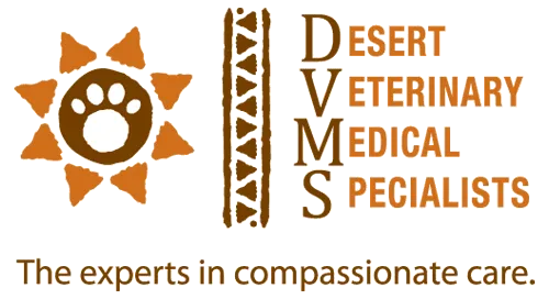 Desert Veterinary Medical Specialists Picture 1