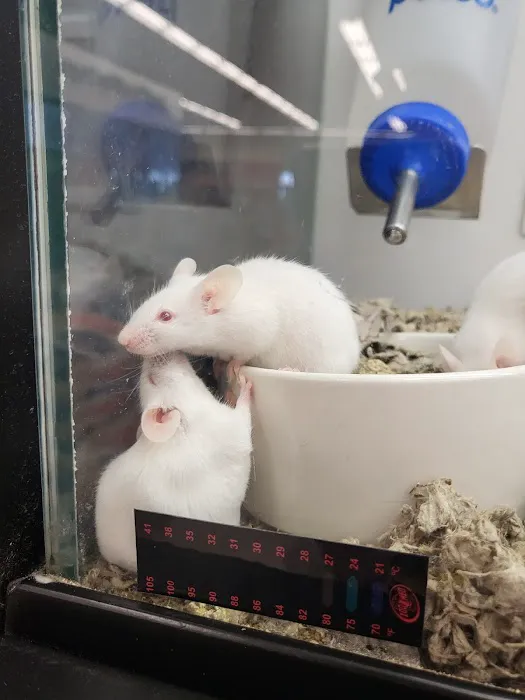 Petco Picture 1