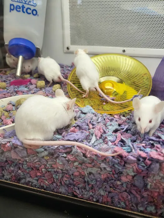 Petco Picture 6