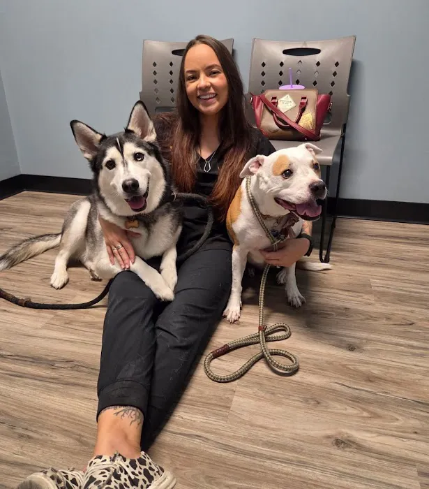Arizona Animal Dentistry Picture 7