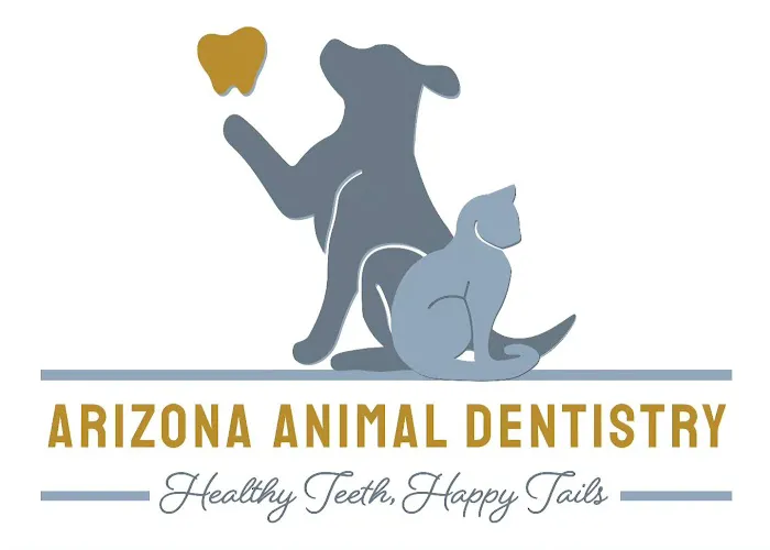 Arizona Animal Dentistry Picture 5