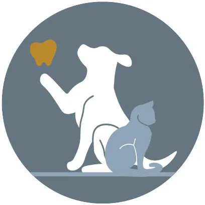 Arizona Animal Dentistry Picture 2