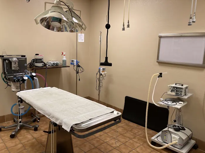 Cactus Pet Hospital LLC Picture 6