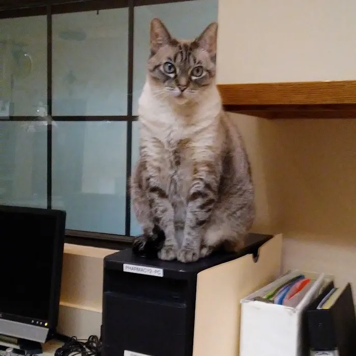 Cactus Pet Hospital LLC Picture 4