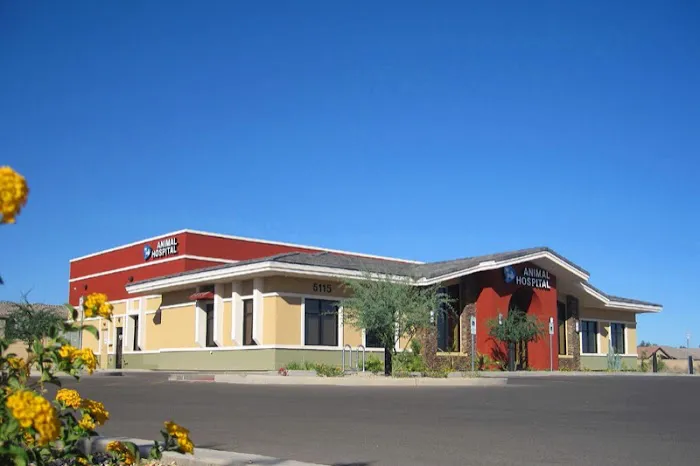 Dreaming Summit Animal Hospital Picture 10