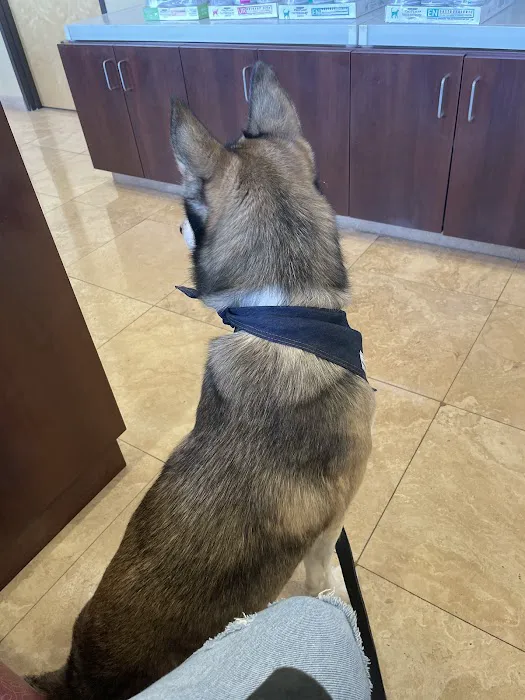 Dreaming Summit Animal Hospital Picture 9
