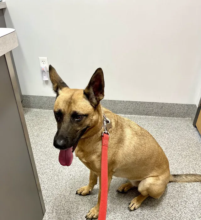 Sunburst Animal Hospital Picture 9