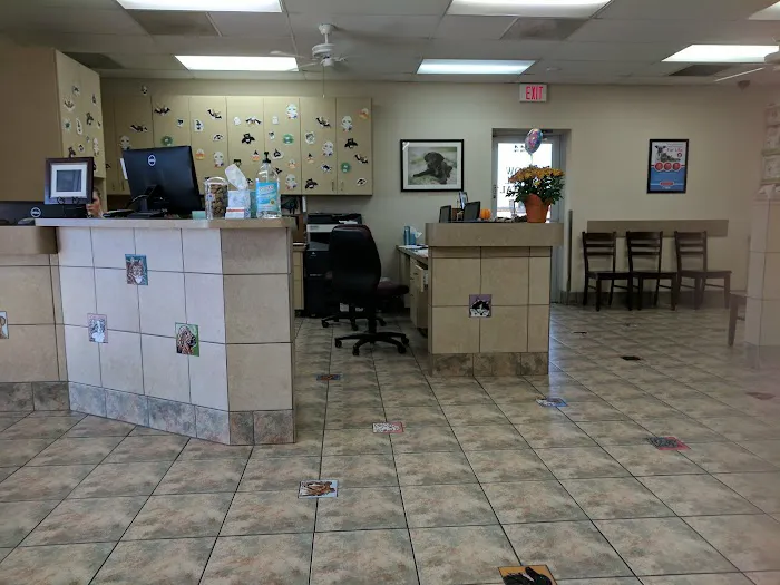 Lovet Pet Health Care - Arrow Picture 6