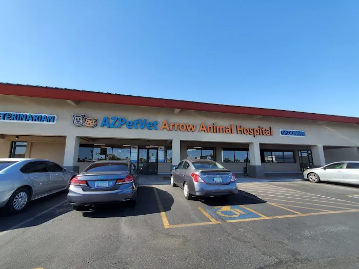 Arrow Animal Hospital PLC: Payton Willow DVM Picture 3