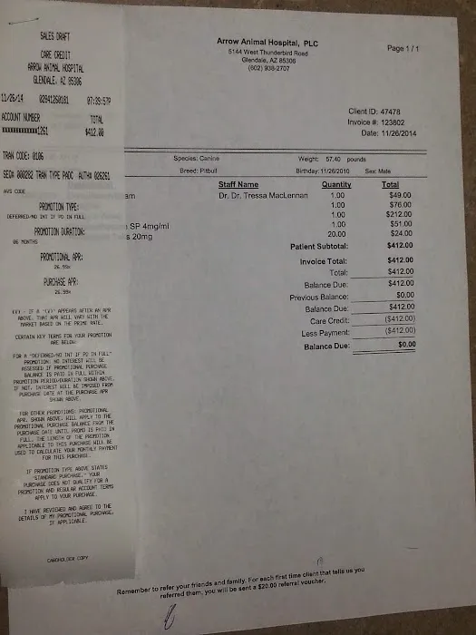 Arrow Animal Hospital PLC: Payton Willow DVM Picture 5