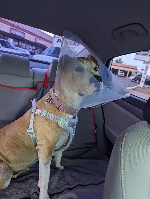 Metro Pet Spay & Neuter Picture 5