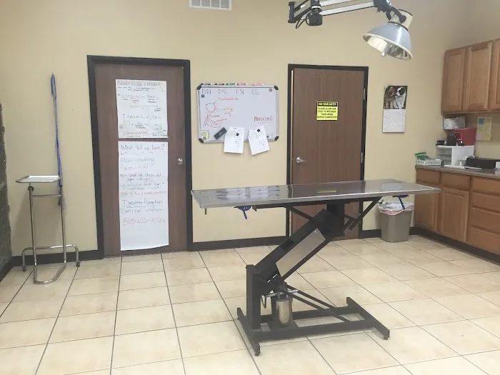 Metro Pet Spay & Neuter Picture 2