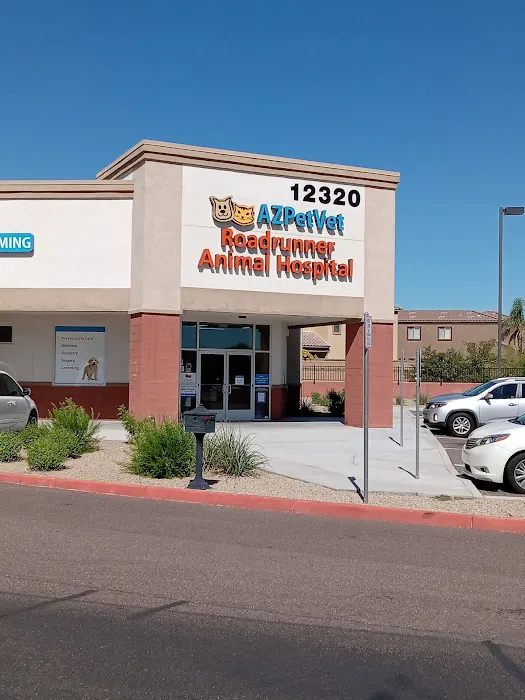Lovet Pet Health Care - Roadrunner Picture 8
