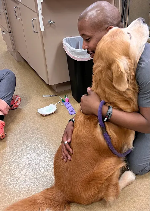 CARE Animal Surgery Center Picture 1