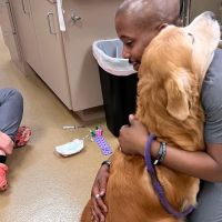 CARE Animal Surgery Center ico