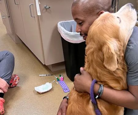 CARE Animal Surgery Center