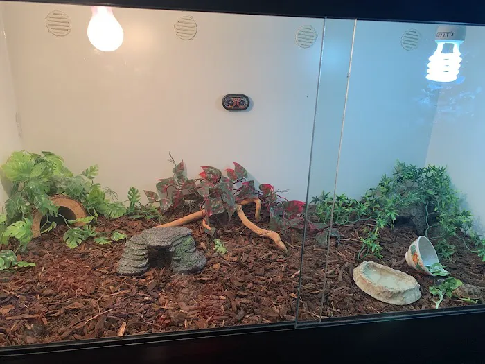 LLLReptile & Supply Phoenix Picture 1