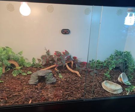 LLLReptile & Supply Phoenix