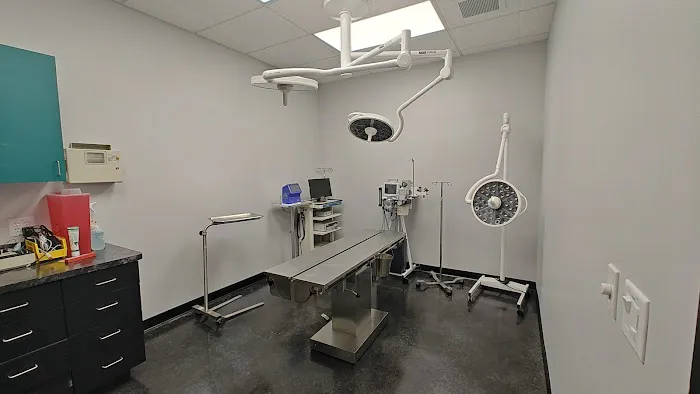 Tree of Life Exotic Pet Medical Center Picture 4