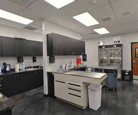 Tree of Life Exotic Pet Medical Center