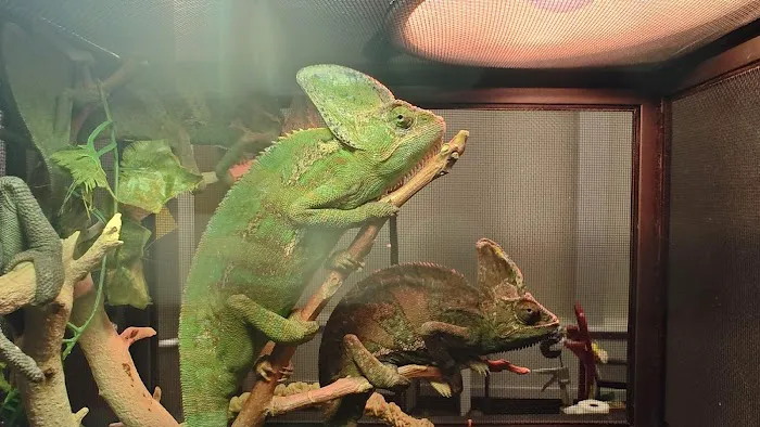 Tree of Life Exotic Pet Medical Center Picture 6