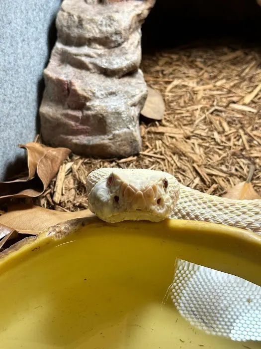 Tree of Life Exotic Pet Medical Center Picture 10