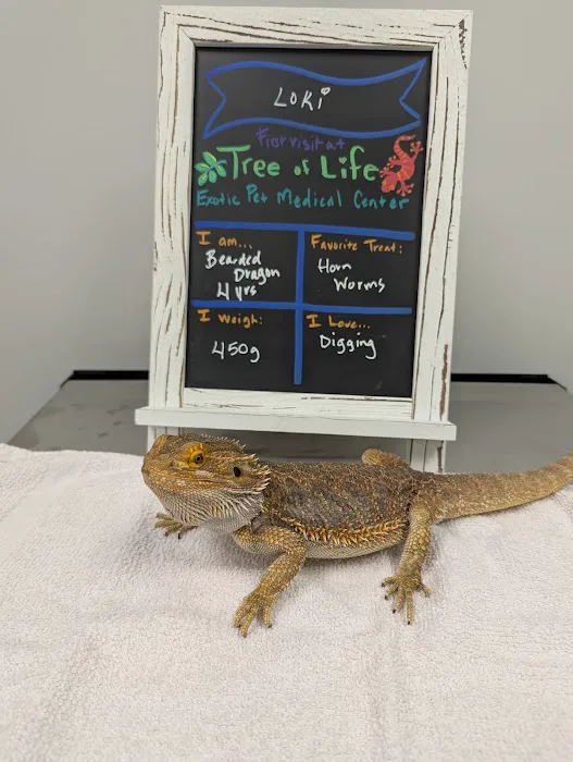 Tree of Life Exotic Pet Medical Center Picture 9