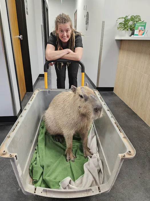 Tree of Life Exotic Pet Medical Center Picture 5
