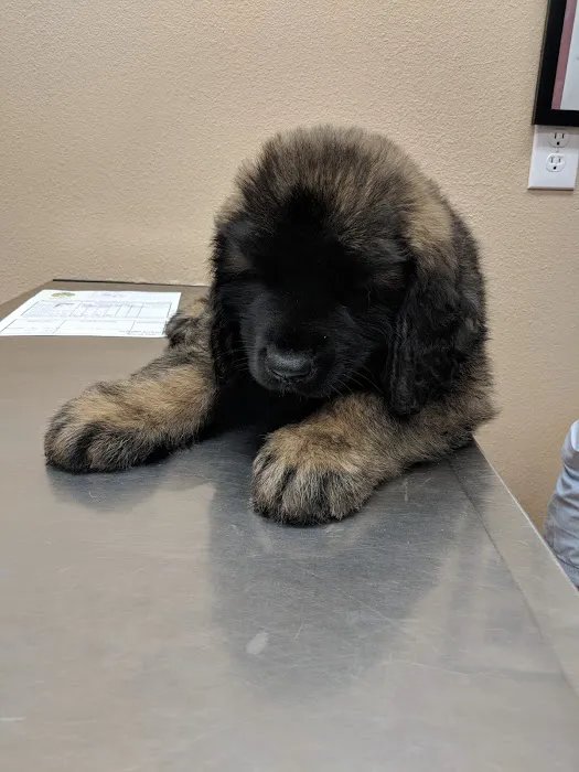 Agua Fria Animal Hospital Picture 3
