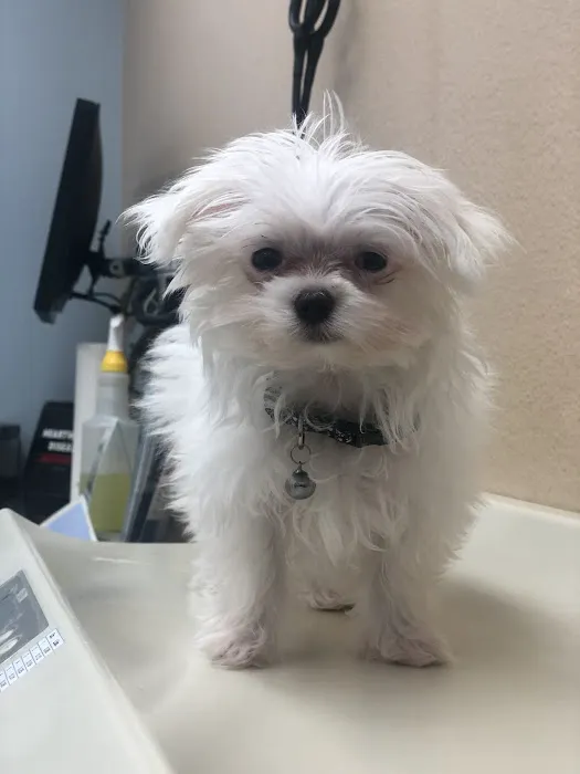 Agua Fria Animal Hospital Picture 1