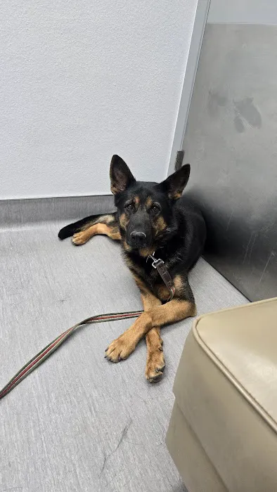 Agua Fria Animal Hospital Picture 9