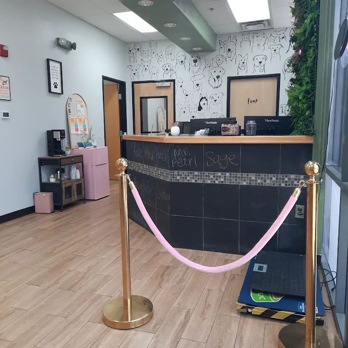 The Complete Pet Animal Hospital Picture 4