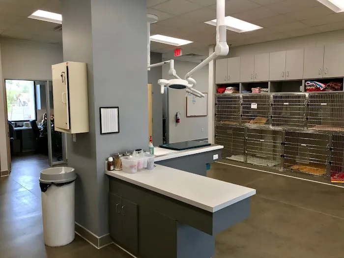 Peoria Animal Hospital Picture 10