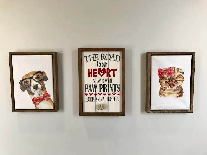 Peoria Animal Hospital Picture 3