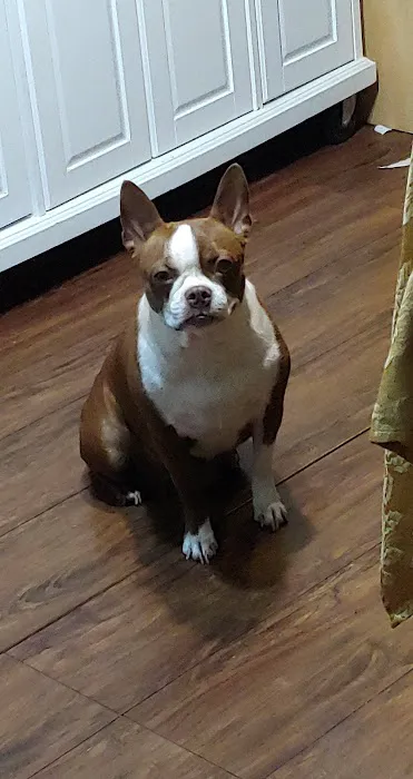 Peoria Animal Hospital Picture 8