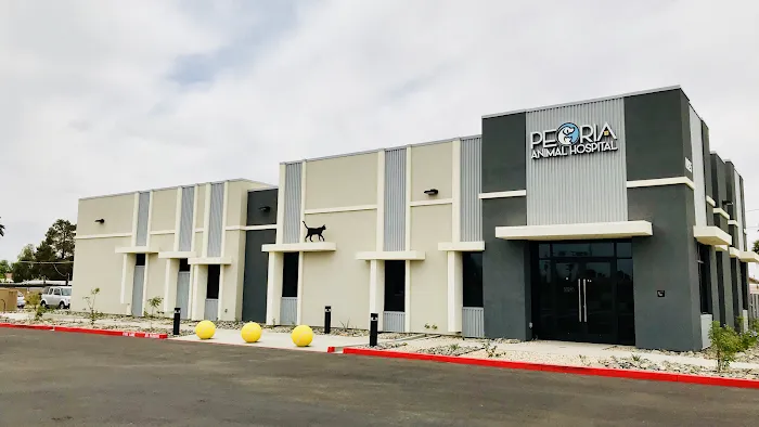 Peoria Animal Hospital Picture 9