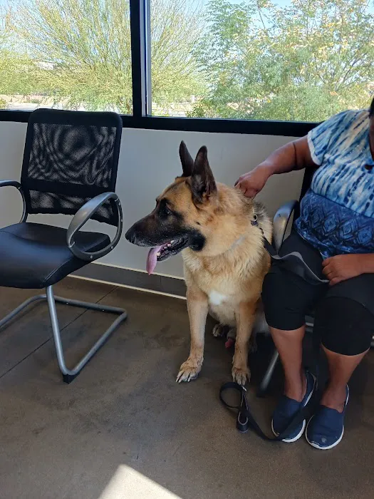 Peoria Animal Hospital Picture 7