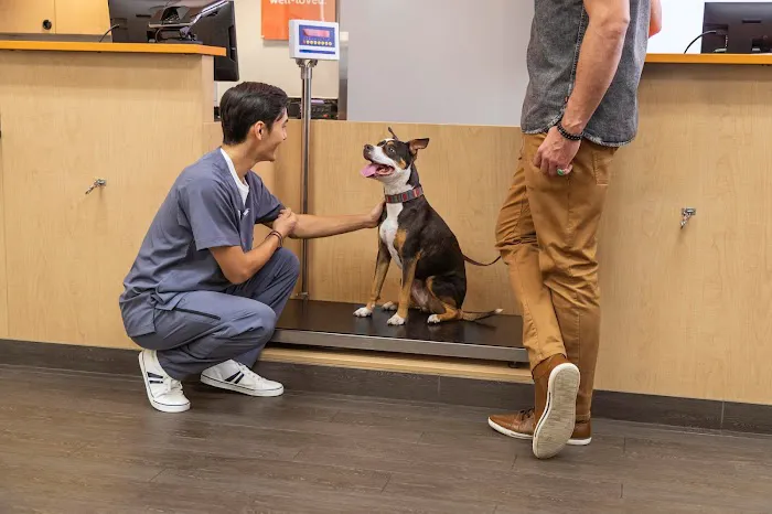 Banfield Pet Hospital Picture 4