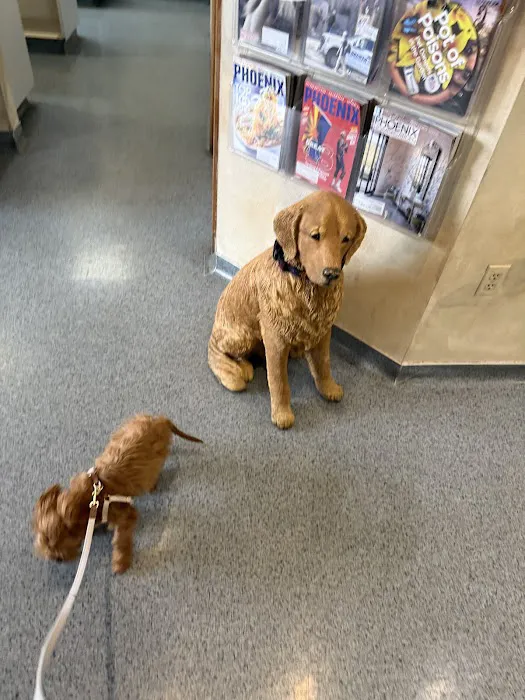 Ahwatukee Animal Care Hospital Picture 10