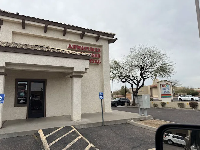 Ahwatukee Animal Care Hospital Picture 2