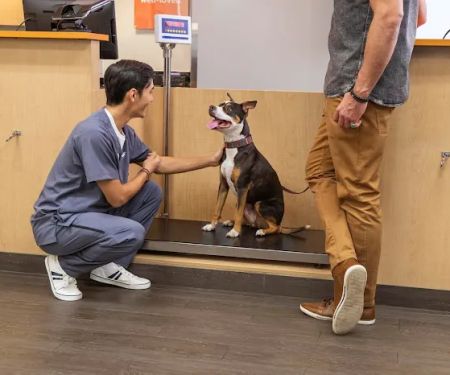 Banfield Pet Hospital