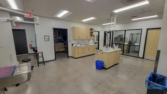 Dermatology for Animals Goodyear Picture 8