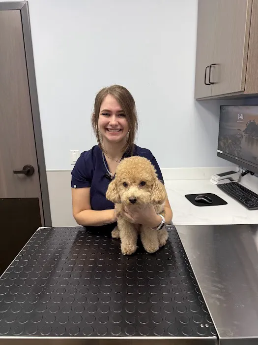Livewell Animal Urgent Care of Goodyear Picture 3