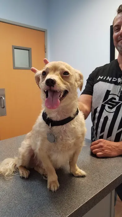 Palm Valley Animal Clinic Picture 5